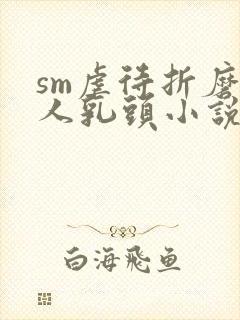 sm虐待折磨女人乳头小说