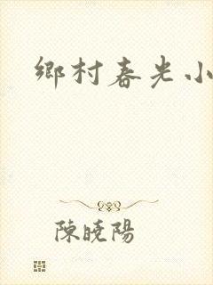 乡村春光小说封面