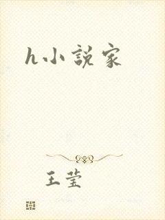 h小说家
