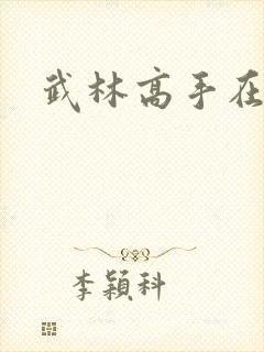 武林高手在异界