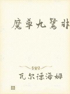 魔尊九鹭非香封面
