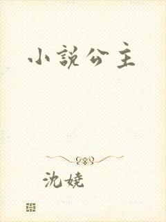 小说公主封面