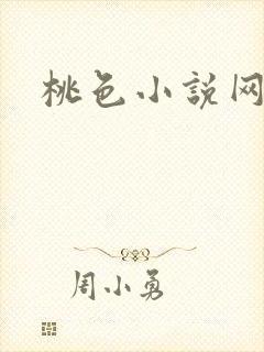 桃色小说网