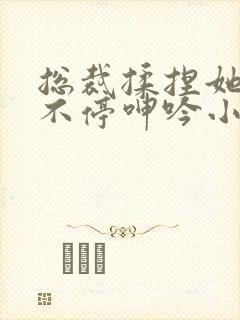 总裁揉捏她两乳不停呻吟小说