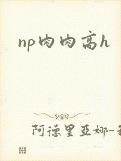 np肉肉高h