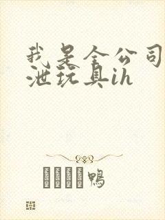 我是全公司的发泄玩具ih