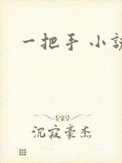 一把手 小说封面