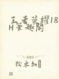 王者荣耀18rH笔趣阁