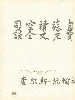 司空靖苏月汐小说全文免费阅读