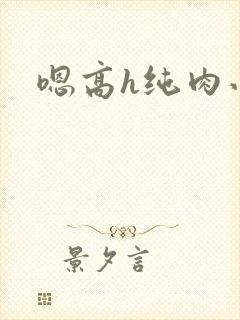 嗯高h纯肉小说