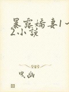 暴露娇妻1～12小说