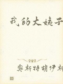 我的大姨子