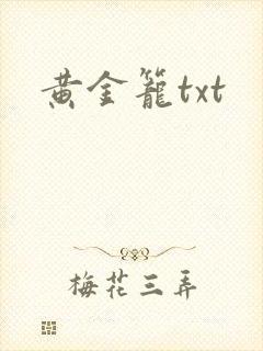 黄金笼txt