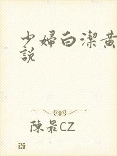 少妇白洁黄色小说