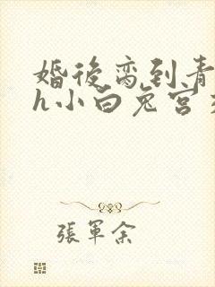 婚后脔到青梅哭h小白兔宫交h