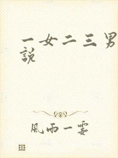 一女二三男事小说
