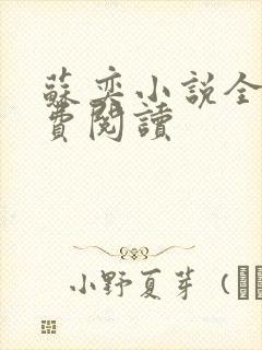 苏奕小说全文免费阅读