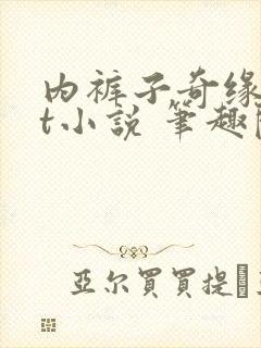 内裤子奇缘txt小说 笔趣阁