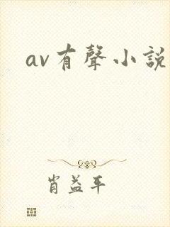 av有声小说