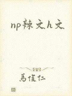 np辣文h文封面