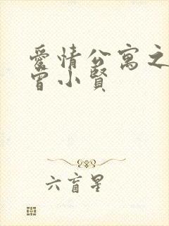 爱情公寓之极品曾小贤