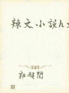 辣文小说h文封面