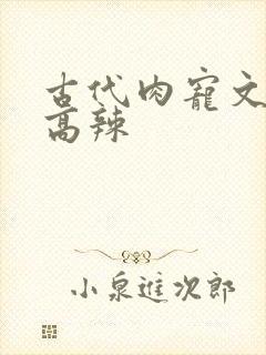 古代肉宠文h 高辣封面