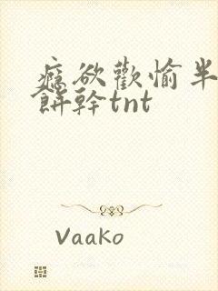 瘾欲欢愉半块小饼干tnt