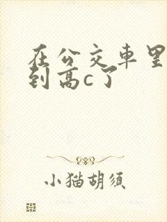 在公交车里c弄到高c了