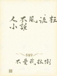 人不风流枉少年小说