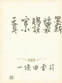 天官赐福墨香铜臭小说最新
