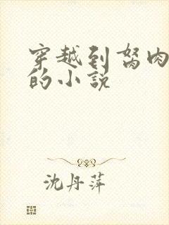 穿越到胬肉系统的小说封面