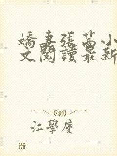 娇妻张茜小说全文阅读最新章节更新