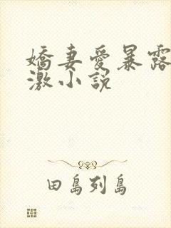 娇妻爱暴露寻刺激小说封面