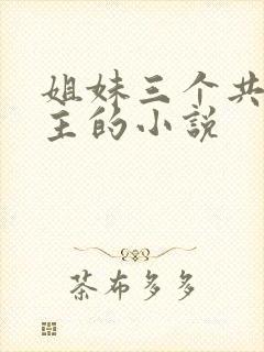 姐妹三个共一男主的小说