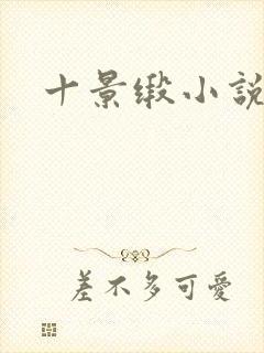 十景缎小说