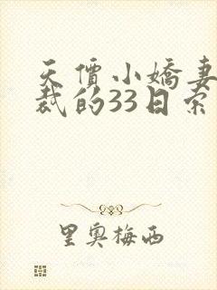 天价小娇妻,总裁的33日索情全文免费封面