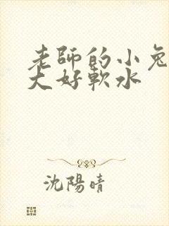 老师的小兔子好大好软水