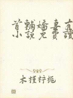 首辅娇妻有空间小说免费读