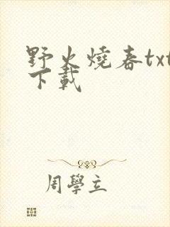 野火烧春txt下载