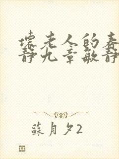 坏老人的春天敏静九章敏静封面