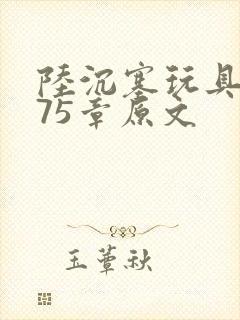 陆沉塞玩具高速75章原文