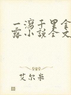 一泻千里金银花露小说全文免费阅读