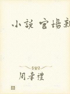 小说 官场新贵封面