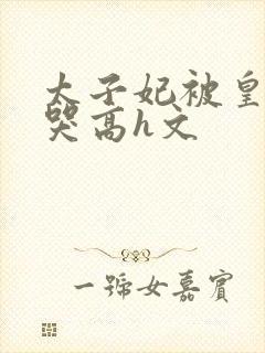 太子妃被皇上c哭高h文