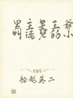 男主是王爷女主叫璃儿的小说