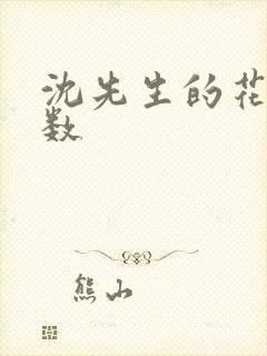 沈先生的花式调数