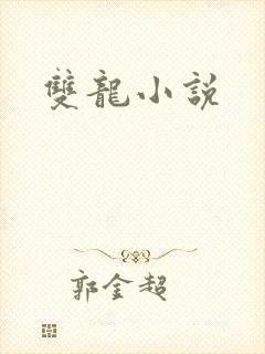 双龙小说