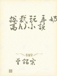 总裁玩弄奶头(高h)小说