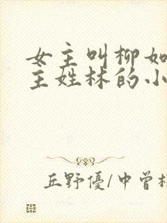 女主叫柳如烟男主姓林的小说